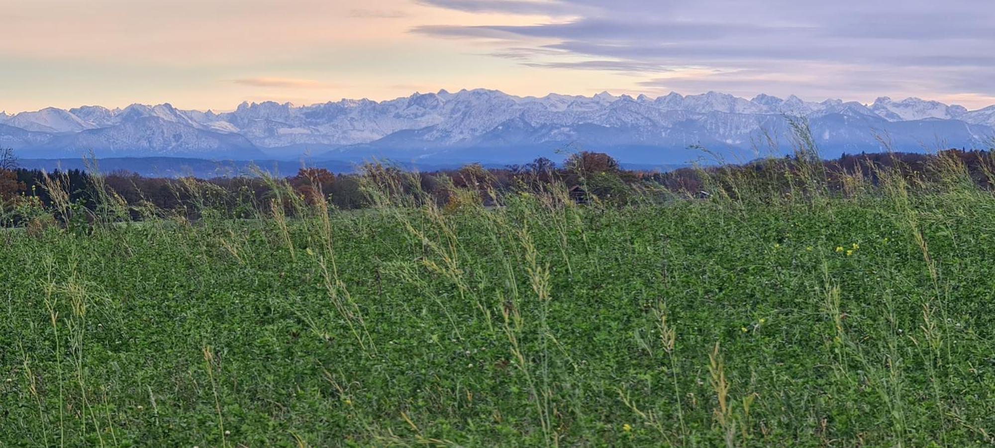 Apartment Am Ammersee ヘルシング・アム・アンマーゼー エクステリア 写真